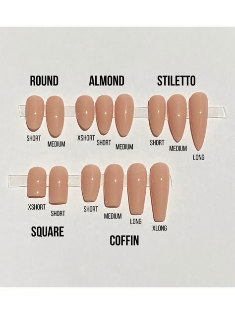 Natural And White Nails, Nail Shape Examples, Nails Length And Shape, S Size Nails, Almond Nail Length Chart, Nail Length Chart And Shape, Nail Sizes Chart Length, Different Nail Shapes On One Hand, Nail Lengths And Shape Chart