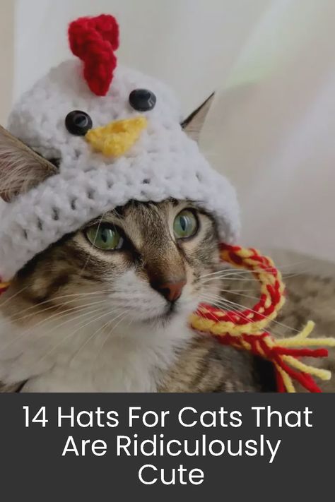 Adorable hats for cats that you can purchase from Etsy. Crochet A Hat For A Cat, Crochet Cat Hat Pattern Free Repeat Crafter Me, Hats For Cats Crochet Pattern, Crocheted Hats For Cats, Crochet Hats For Cats Pattern Free, How To Crochet A Cat Hat, Crochet Pet Hats Free Pattern, Crochet Hat For Cat Pattern Free, Hats For Cats