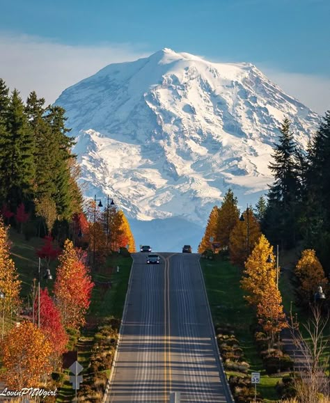 October view of Mt. Rainier in Washington State.  Photo: Aimee Lou KOMO News Pnw Aesthetic, Mount Rainier National Park, Mt Rainier, Rainier National Park, Nature Aesthetic, Lets Go, Pretty Places, Travel Aesthetic, Washington State