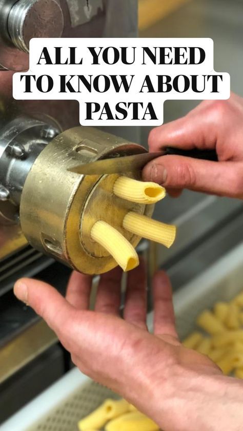 Fresh Pasta - Dry Pasta - Pasta Making Do you think you know everything there is to know about pasta? The time has come to put your knowledge to the test. Here we look at the difference between fresh and dry pasta, the 4 essential characteristics of good quality dry pasta and 4 different ways to cook your pasta. Cooking Fresh Pasta, Carrot Pasta, Pasta Making Tools, Fresh Pasta Recipes, Kitchenaid Pasta, Dry Pasta, Dried Pasta, Pasta Dough Recipes, Pasta Art