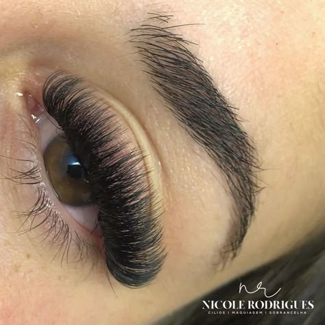 Wispy Full Lash Extensions, Lash Sets With Mapping Volume, Thick Hybrid Lash Extensions, Lash Inspo Eyelash Extensions Volume, Russian Lashes Eyelash Extensions, Wispy Russian Lash Extensions, Full Hybrid Lashes, Open Eye Volume Lash Extensions, Volume Doll Eyelash Extensions