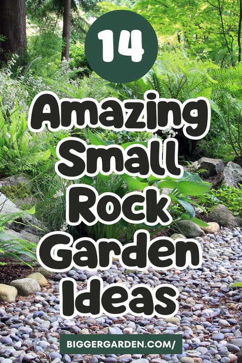 Get inspired by these 14 small rock garden ideas that will transform your outdoor space. Click to read and follow us for more gardening tips! Small Zen Garden Ideas Outdoor, Small Zen Garden Ideas, Small Rock Garden, Small Rock Garden Ideas, Japanese Garden Backyard, Small Zen Garden, Japanese Gardens Design Ideas, Rock Garden Ideas, Rock Yard