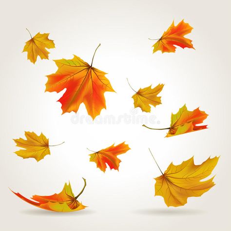 Falling Autumn Leaves, Autumn Tattoo, Walls Art, Leaves Illustration, Leaf Illustration, Leaf Drawing, Nouveau Art, Leaves Vector, Paintings Art