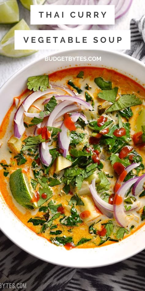 Thai Coconut Vegetable Soup, Thai Stew Recipes, Thai Red Curry Soup Vegetarian, Thai Curry Vegetable Soup, Coconut Soup Vegan, Thai Red Curry Soup Coconut Milk, Roasted Vegetable Soup Coconut Milk, Healthy Thai Soup, Thai Basil Soup Recipe