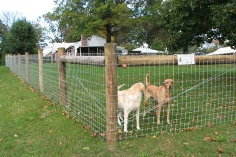 Woven wire fence installation in ranch house with acreage Pet Fence Ideas, Woven Wire Fence, Dog Yard Fence, Dog Fence Ideas, Dog Fencing, Hog Wire Fence, Diy Dog Fence, Farm Fencing, Livestock Fence