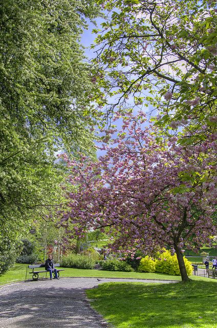 Kensington Gardens #Kensington, #London, #England Kensington Gardens London, London Parks, I Love London, Kensington And Chelsea, Kensington Gardens, Peaceful Living, Love London, London Park, Kensington Palace