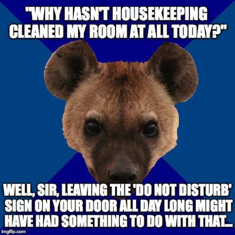 | Hotel | Hotels | Hospitality | Customer Service | Guest Services | Front Desk | Guests | Complaints | Memes | Sarcasm | Joking | Humor | Funny | Hilarious | Work | Job | Crazy Guests | Night Auditor | Night Audit | Housekeeping | Valet | F&B | Food & Beverage | Guest Service | Guest Services | Hoteliers | eCards |  If you are the genius / wise guy behind any of these funnies please let me know (with image description) so I can properly credit! Hospitality Humor, Work Ecards, Hotel Humor, Work Funnies, Hotel Housekeeping, Funny Work, Guest Services, Hotel Motel, Work Memes