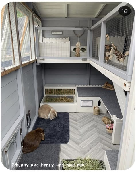 Inside Bunny House, Bunny Outside Cage, Cool Bunny Cages, Animal Shed Ideas, Bunny Home Set Up, Rabbit Incloser, Bunny Houses Outdoor, Outside Bunny Cages, Bunny Farm Ideas