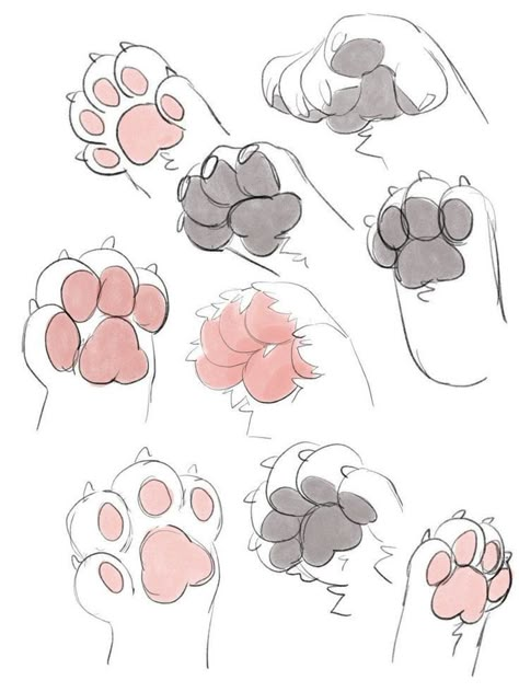 Cat Paw Drawing, Puppy Boy, Paw Drawing, Cat Drawing Tutorial, Drawing Hands, Warrior Cat Drawings, Drawings Ideas, Cat Base, 강아지 그림