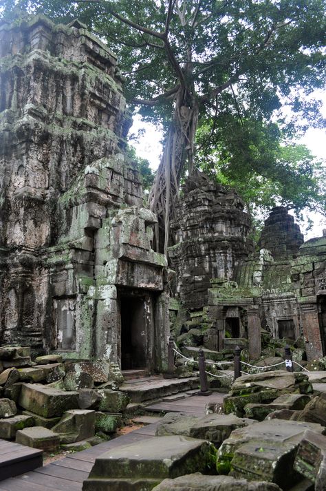 African Temple, Abandoned Temple, South American Rainforest, Old Temple, Jungle Temple, Temple India, Stone Temple, Temple Ruins, Ancient Temple