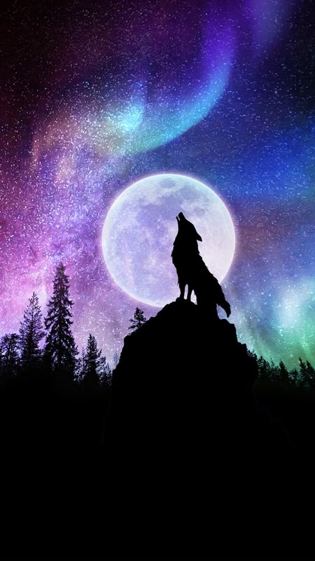 Galaxy Wolf, Wild Animal Wallpaper, Wolf Background, Wolf Photography, Wolf Artwork, Wolf Painting, Fantasy Wolf, Wolf Photos, Wolf Spirit Animal