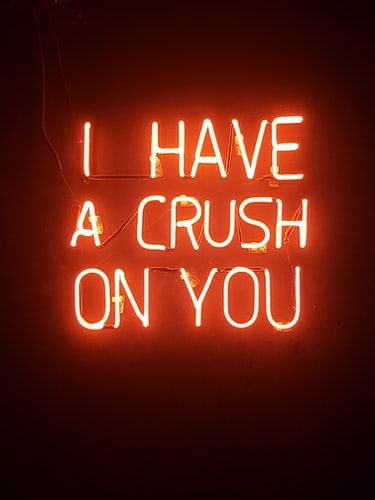 orange i have a crush on you neon light signage photo – Free Love Image on Unsplash Neon Quotes, Songs Playlist, Distance Relationships, Neon Aesthetic, Neon Wallpaper, Picture Collage Wall, Orange Aesthetic, A Crush, Quote Cards