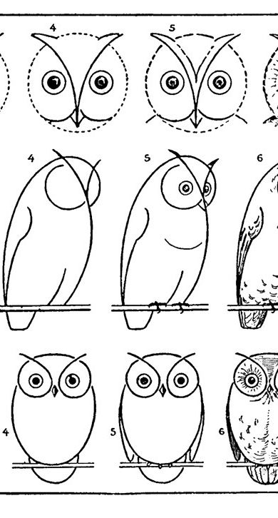 Free Vintage Printable How to Draw Owls Activity Page. Graphics Fairy Owl Drawing Simple, Draw An Owl, Painted Rock Animals, Drawing Lesson, Cute Illustrations, Owls Drawing, Owl Crafts, Graphics Fairy, Rock Painting Patterns