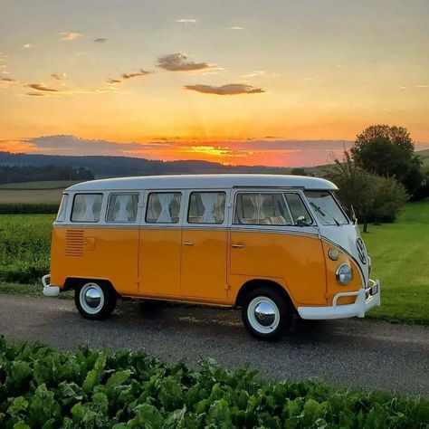 Vw Bus, Instagram Account, Volkswagen, A Photo, Wicked, To Share, Camping, Road, Orange