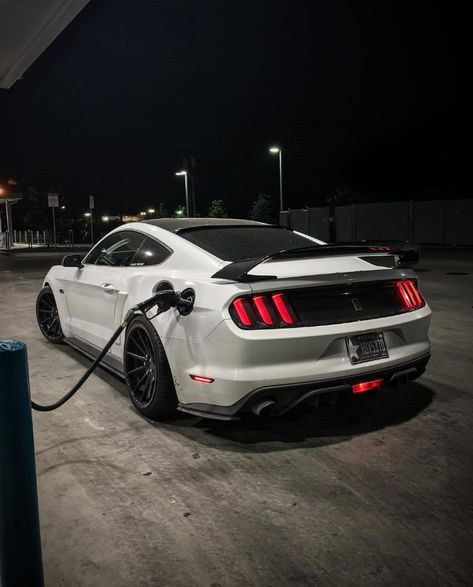 Bad-ass Ford Mustang All Mustang Models, Car Ford Mustang, Mustang Aesthetic Night, Cool Mustangs, White Mustang Gt, Siyah Mustang, Mustang Aesthetic, Silver Mustang, Black Mustang Gt