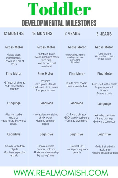 Developmental Milestones Toddlers, Developmental Milestones Chart, Milestone Chart, Quote Beauty, Gentle Discipline, Toddler Milestones, Development Milestones, Pediatric Care, Healthy Happy Life