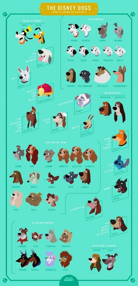 Goofy and Pluto: Both dogs, but only Goofy can talk? Different Types Of Dogs, Disney Nerd, Disney Dogs, 강아지 그림, Disney Facts, Disney Animals, Pinturas Disney, Types Of Dogs, Disney And Pixar