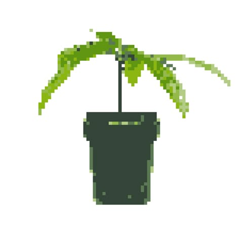 Green Gifs Aesthetic Png, Green Notion Icon Gif, Pixel Plants Gif, Pc Wallpaper Gif, Pixel Gif Png, Pixel Plants, Minecraft Plants, Green Aesthetic Background, Notion Library