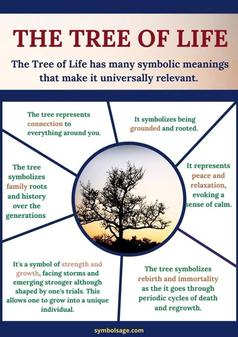 Found across many cultures, the Tree of Life is an ancient symbol. It showcases the symbolism of trees to the best effect and is highly popular today, especially among spiritual groups. Tree Symbolism Meaning, Meaning Of Tree Of Life, Native American Tree Of Life, Tree Of Life Meaning Quotes, Celtic Tree Of Life Meaning, Sycamore Tree Meaning, Tree Of Life Symbolism Meaning, Magical Words And Meaning, Willow Tree Symbolism