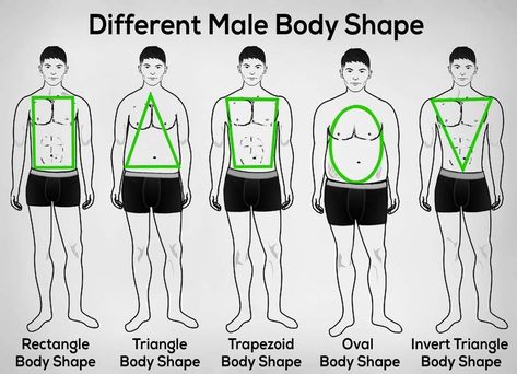 Body Type Male, Body Shape Chart, What Haircut Should I Get, Male Body Shapes, Chart Drawing, Body Type Quiz, Mens Body Types, Glasses For Face Shape, Inverted Triangle Body Shape