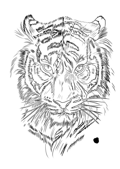 Tiger Head Tattoo Stencil, Tiger Tattoo Stencil Design, Tiger Face Tattoo Stencil, Tiger Drawing Tattoo, Tiger Design Tattoo, Tiger Face Stencil, Lion Tattoo Stencil Drawings, Tiger Tattoo Outline, Tiger Outline Tattoo