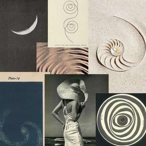 The significance of the spiral & geometric pattern in space and nature New Moon Symbol, Symbols Of Nature, Yoga Mood Board, Growth Symbolism, Symbol For Growth, Life Cycle Art, Cycles In Nature, Summer Symbols, Sun Cycle