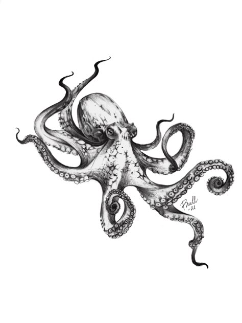 Short Fuse Tattoo, Octopus Tattoos Design, Portuguese Manowar Tattoo, Fine Line Octopus Tattoo, Octopus Tattoo Design Drawing, Tiny Octopus Tattoo, Octopus Tattoo Stencil, Kraken Tattoo Design, Small Octopus Tattoo