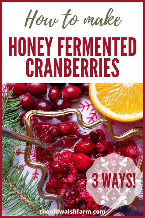 Fermented Cranberries, Fermenting Foods, Fermented Food Recipes, Fermented Honey, Fermenting Weights, Homestead Kitchen, Fermentation Recipes, Cranberry Recipes, Healthy Treat