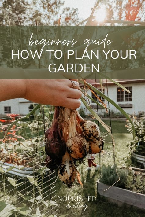 Beginners Guide: How to Plan Your Garden | Gardening from scratch | how to start a garden | how to grow your own food | what to plant in your garden | starting a homestead | spring garden tips How To Start A Kitchen Garden, Spring Garden Planting Guide, How To Start Your Own Garden, Garden How To, How To Plan A Garden For Beginners, Garden Tips For Beginners, How To Grow A Garden For Beginners, How To Start A Garden From Scratch, How To Make A Garden