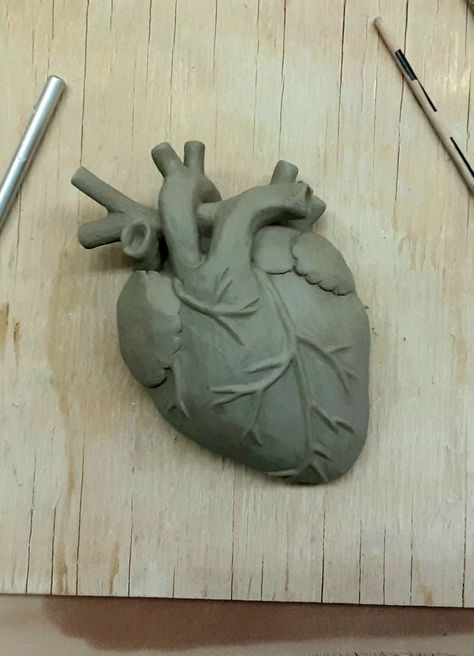 Human Heart Clay Sculpture, Clay Heart Realistic, Heart Clay Sculpture, Sculpture Beginner, Small Sculpture Ideas, Clay Body Sculpture, Sculpture Ideas Clay, Clay Anatomy, Art Bizarre