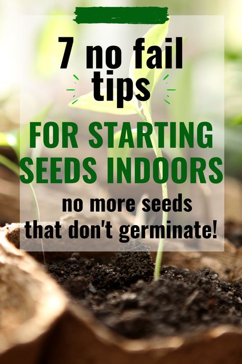 Planting Seeds Indoors, Spring Vegetable Garden, Seed Companies, Start Seeds Indoors, Seed Starters, Ocean Garden, Starting Seeds, Spring Garden Flowers, Starting Seeds Indoors