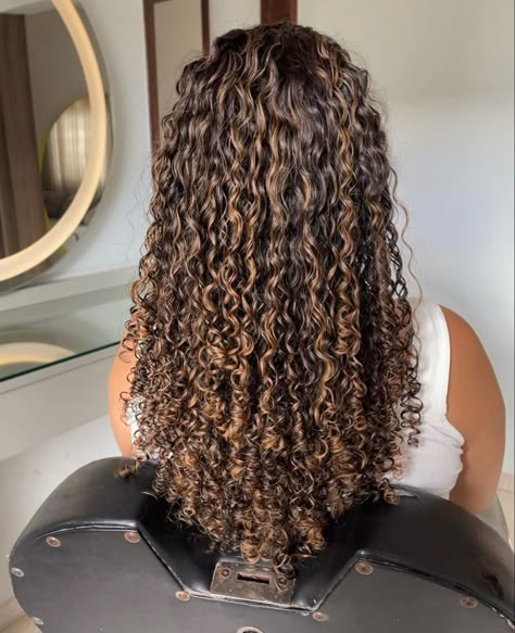 Brown Hair Colors With Highlights Curly, 3b Hair Highlights, Honey Brown Hair Curly Highlights, Curly Hair With Balayage Highlights, Chestnut Brown Highlights Curly Hair, Natural Highlights Curly Hair, Sun Kissed Curly Hair Highlights, Curl Hair Highlights, Balayage Hair Curly Hair