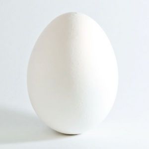 Picture of Wildnerness hardboiled egg! For optional #21 Happy Home Fairy, Egg Pictures, Perfect Eggs, Sources Of Vitamin A, Egg Muffins, White Chicken, Chicken Eggs, Hard Boiled, Hair Transplant