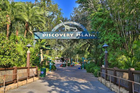 Final Day at Disney's Discovery Island Abandoned Malls, Discovery Island, He Is Able, Go Camping, Tropical Paradise, Abandoned Places, Animal Kingdom, Walt Disney World, Theme Park