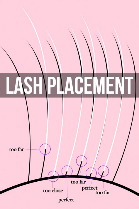 lash placement for professional eyelash extensions Vavalash Lash Extensions, Eyelash Extension Price List, Lash Extensions Prices For Beginners, Beginner Eyelash Tech, Eyelash Extension Set Up, Lash Application Tips, Whisky Lash Map, Lash Extension Diameter Chart, Eyelash Extensions Application