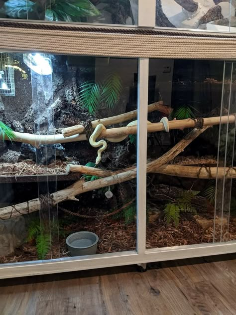 Furniture Reptile Enclosure, Bioactive Python Enclosure, Python Tank Ideas, Snake Tank Aesthetic, Pvc Snake Enclosure, Homemade Snake Enclosure, Snake Tanks Terrariums, Diy Ball Python Terrarium, Cute Reptile Enclosure