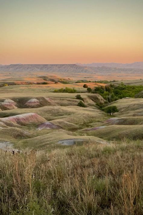 in the Great Plains is home to hundreds of animals and provides a unique ecosystem for many | #Nature #Rapid_City_South_Dakota_Aesthetic #South_Dakota_Landscape #South_Dakota_Aesthetic South Dakota Landscape, Rapid City South Dakota Aesthetic, South West Aesthetic, Bad Lands South Dakota, South Dakota Aesthetic, Webpage Inspiration, Dakota Aesthetic, Wildfire Druid, South Aesthetic