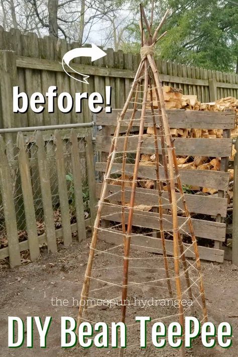 How to Build a Green Bean TeePee Trellis - The Homespun Hydrangea Teepee Garden, Build A Teepee, Green Bean Trellis, Bean Teepee, Green Bean Seeds, Teepee Trellis, Bean Trellis, Growing Green Beans, Frugal Gardening