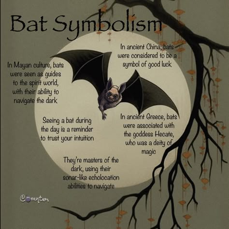 Bats In Witchcraft, Bat Spiritual Meaning, Bat Spirit Animal Meaning, Bat Symbolism, Cool Nature Tattoos, Spirit Animal Meaning, Night Creatures, Animal Meanings, Creature Of The Night