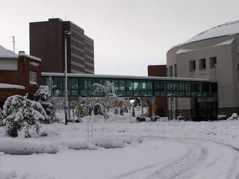 suny buffalo | University at Buffalo Buffalo University, University At Buffalo, School Architecture, Study Abroad, Wikimedia Commons, Matilda, Old Houses, Buffalo, I Know