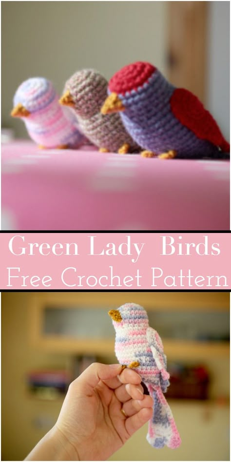 15 Colorful Free Crochet Bird Patterns Crochet Bird Applique, Free Crochet Bird Patterns, Crochet Bob, Crochet Bird, Crochet Bird Patterns, Green Lady, Ravelry Crochet, Bird Applique, Bird Free