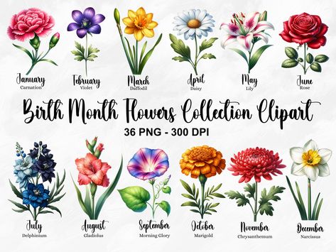 Birth month flowers