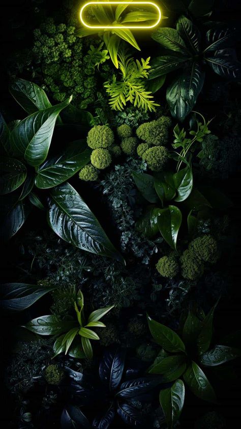 I Phone 15 Pro Wallpaper Hd, Iphone 15 Pro Max Wallpaper Hd 8k, Iphone 15 Pro Wallpaper 8k, Neon Iphone Wallpaper, Neon Plants, Iphone 15 Pro Max Wallpaper, Cool Backgrounds For Iphone, Dynamic Island, Apple Wallpapers