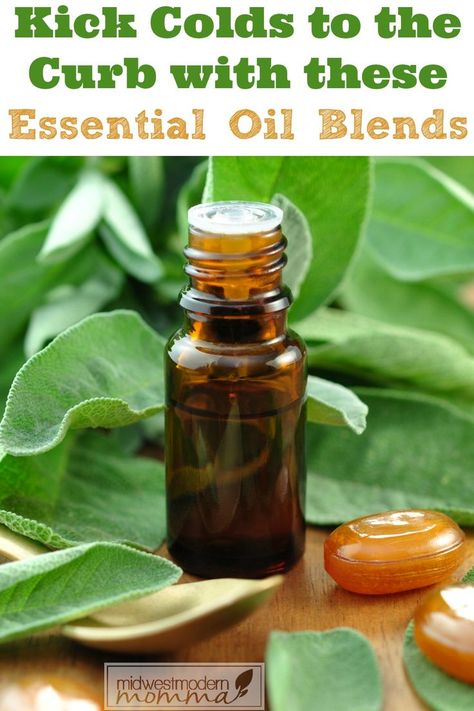 4 Essential Oil Blends to Use at the First Sign of a Cold this cold & flu season! Oils For A Cold, Natural Remedies For Colds, Essential Oils For Breathing, Essential Oils For Colds, Thieves Essential Oil, Essential Oil Remedy, Cold Sores Remedies, Natural Cold Remedies, Cold Home Remedies