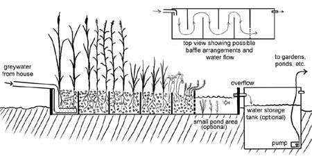 http://www.milkwood.net/2012/10/16/building-a-simple-biological-diy-greywater-system/ Grey Water System Diy, Greywater System, Rainwater System, Grey Water Recycling, Bio Pool, Water Recycling, Grey Water System, Rainwater Collection, Rain Collection