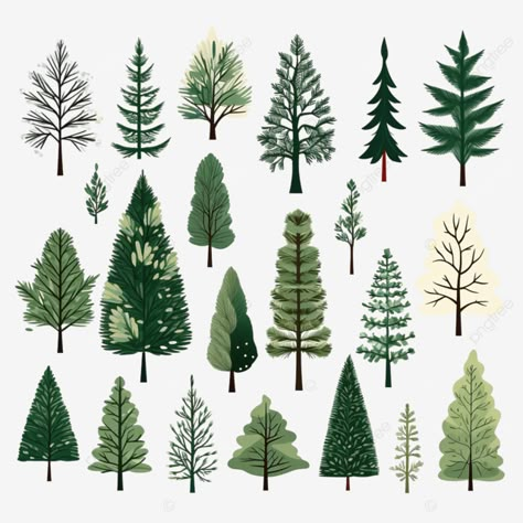 christmas trees in flat style isolated pine spruce fir vector illustration nature forest set png Forest Tree Illustration, Forest Trees Illustration, Winter Trees Illustration, Forests Drawings, Pine Trees Illustration, Christmas Trees Illustration, Pine Forest Illustration, Simple Nature Illustration, Maple Tree Illustration