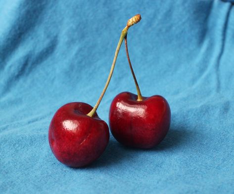 Free Cherry Reference | Lena Danya on Patreon Pastel Reference Photos, Good Art Reference Photos, Sketch Reference Object, Object To Paint, Random Drawing Reference Photos, Reference Photo For Painting, Lena Danya Paintings, Cherries Reference Photo, Cherry Art Reference