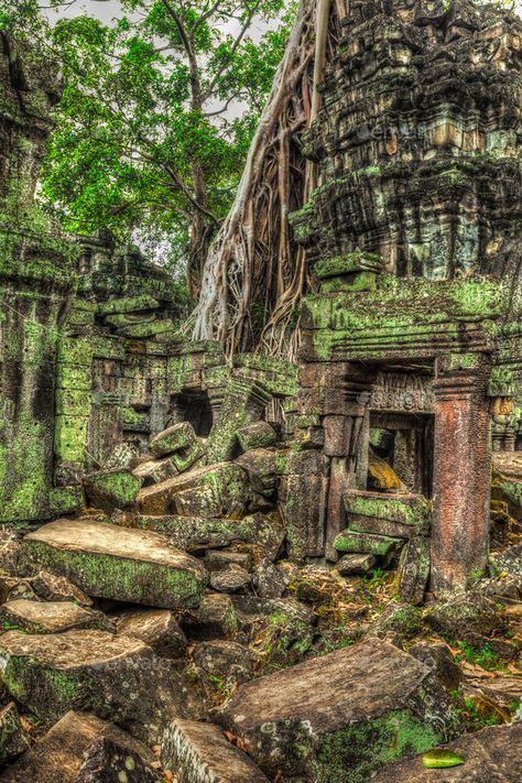 Ancient ruins and tree roots, Ta Prohm temple, Angkor, Cambodia by f9photos. High dynamic range (hdr) image of ancient ruins with trees, Ta Prohm temple, Angkor, Cambodia #AD #Prohm, #Ta, #Angkor, #temple Cambodia Painting, Jungle Ruins, Ta Prohm Temple, Stone Door, Jungle Temple, Ta Prohm, Temple Ruins, Concept Background, Ancient Stone