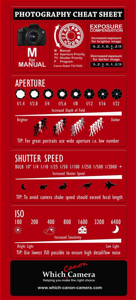 Beginner Photography Camera, Photography Cheat Sheet, Manual Photography, Digital Photography Lessons, Beginner Photography, Nature Photography Tips, Dslr Photography Tips, Photography Settings, Camera Aesthetic