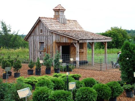 Shed Inspiration, Chicken Barn, Amazing Chicken, Coop Design, Chicken Coop Designs, Building A Chicken Coop, Backyard Chicken Coops, Barn Plans, Diy Chicken Coop